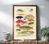 Great Barrier Reef Fishes Vintage Illustration by William Saville Kent Wall Art Print